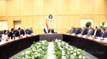 تطور جديد.. وزير الصناعة يبحث مع البنك الدولي خطة المشروعات المشتركة والتعاون المستقبلي 1